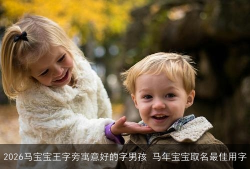 2026马宝宝王字旁寓意好的字男孩 马年宝宝取名最佳用字
