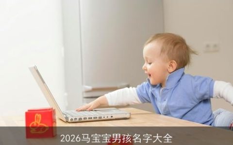 2026马宝宝男孩名字大全