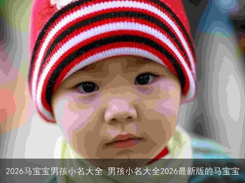 2026马宝宝男孩小名大全 男孩小名大全2026最新版的马宝宝