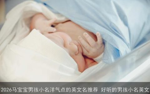 2026马宝宝男孩小名洋气点的英文名推荐 好听的男孩小名英文