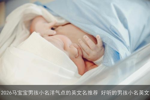 2026马宝宝男孩小名洋气点的英文名推荐 好听的男孩小名英文