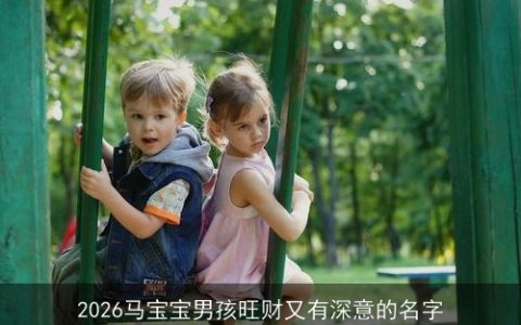 2026马宝宝男孩旺财又有深意的名字