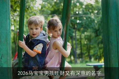 2026马宝宝男孩旺财又有深意的名字