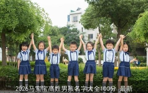 2026马宝宝高姓男孩名字大全100分 最新