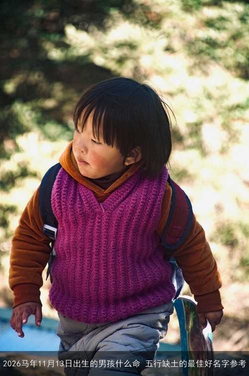 2026马年11月13日出生的男孩什么命 五行缺土的最佳好名字参考
