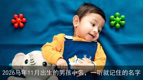 2026马年11月出生的男孩小名，一听就记住的名字
