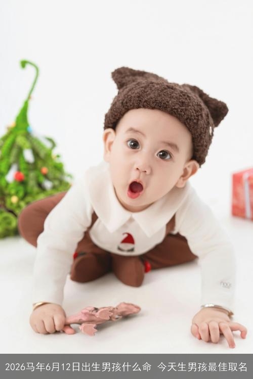 2026马年6月12日出生男孩什么命 今天生男孩最佳取名