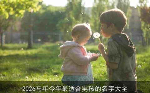 2026马年今年最适合男孩的名字大全