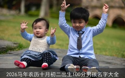 2026马年农历十月初二出生100分男孩名字大全