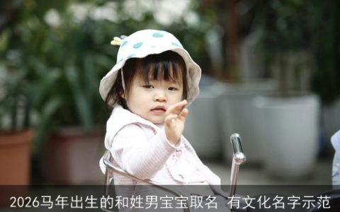 2026马年出生的和姓男宝宝取名 有文化名字示范