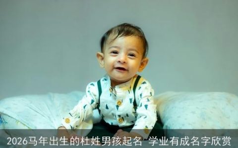 2026马年出生的杜姓男孩起名 学业有成名字欣赏