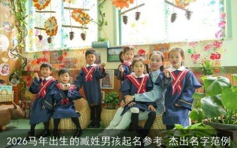 2026马年出生的臧姓男孩起名参考 杰出名字范例