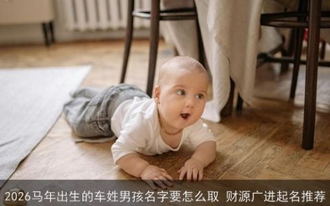 2026马年出生的车姓男孩名字要怎么取 财源广进起名推荐