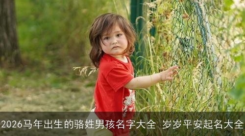 2026马年出生的骆姓男孩名字大全 岁岁平安起名大全
