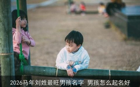2026马年刘姓最旺男孩名字 男孩怎么起名好