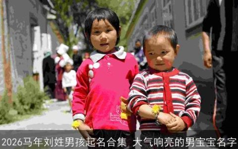 2026马年刘姓男孩起名合集 大气响亮的男宝宝名字