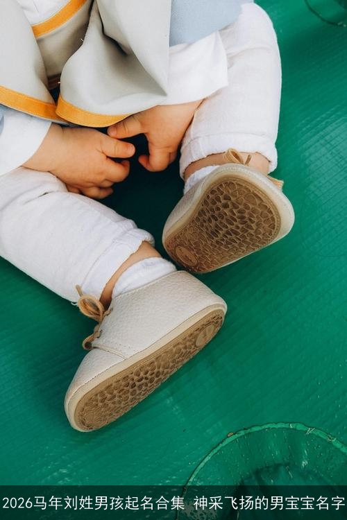 2026马年刘姓男孩起名合集 神采飞扬的男宝宝名字