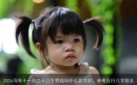2026马年十一月二十日生男孩叫什么名字好，参考五行八字取名