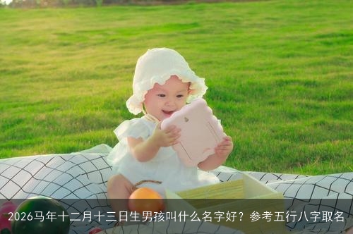 2026马年十二月十三日生男孩叫什么名字好？参考五行八字取名