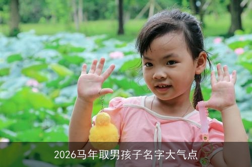 2026马年取男孩子名字大气点