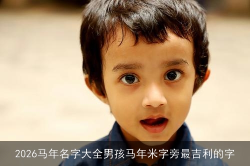 2026马年名字大全男孩马年米字旁最吉利的字