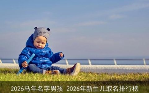 2026马年名字男孩 2026年新生儿取名排行榜