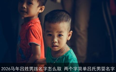 2026马年吕姓男孩名字怎么取 两个字简单吕氏男婴名字