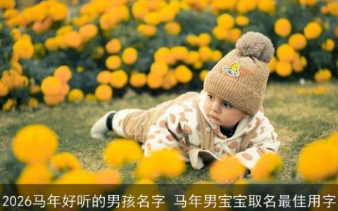 2026马年好听的男孩名字 马年男宝宝取名最佳用字