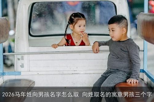 2026马年姓向男孩名字怎么取 向姓取名的寓意男孩三个字