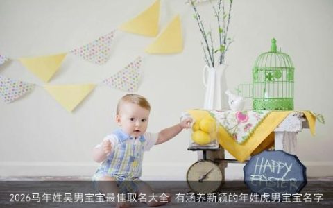 2026马年姓吴男宝宝最佳取名大全 有涵养新颖的年姓虎男宝宝名字