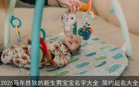 2026马年姓狄的新生男宝宝名字大全 简约起名大全