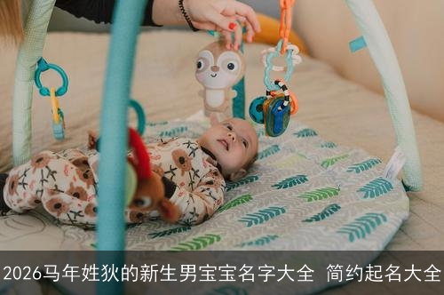 2026马年姓狄的新生男宝宝名字大全 简约起名大全