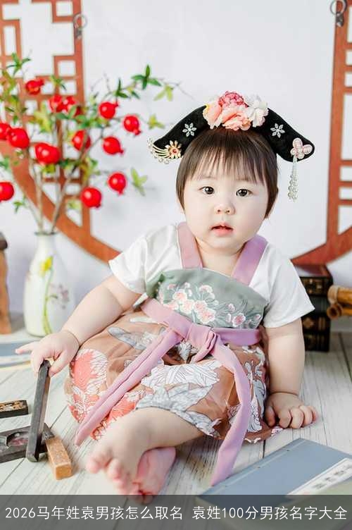 2026马年姓袁男孩怎么取名 袁姓100分男孩名字大全