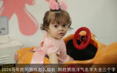 2026马年姓阳男孩怎么取名 阳姓男孩洋气名字大全三个字