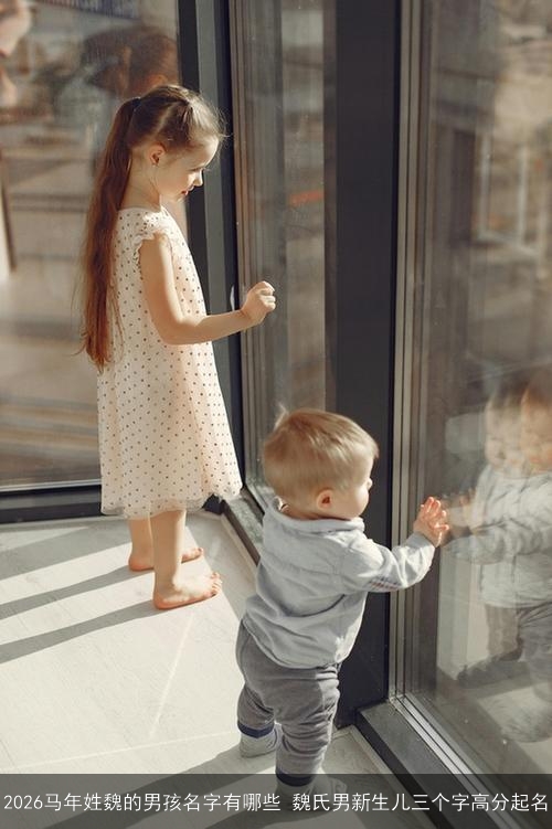 2026马年姓魏的男孩名字有哪些 魏氏男新生儿三个字高分起名