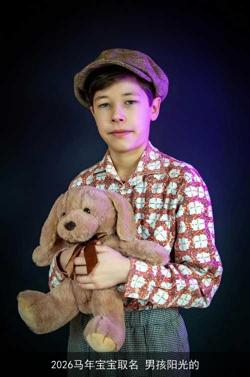 2026马年宝宝取名 男孩阳光的