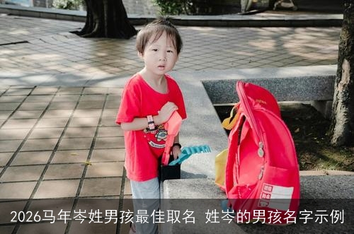 2026马年岑姓男孩最佳取名 姓岑的男孩名字示例