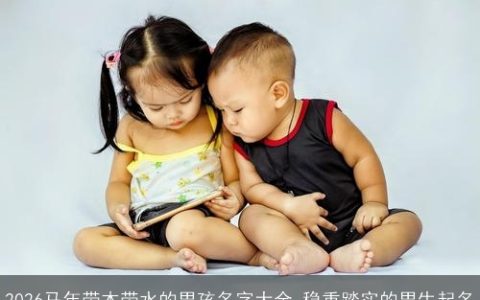 2026马年带木带水的男孩名字大全 稳重踏实的男生起名
