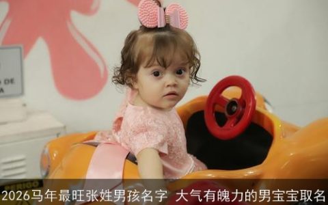2026马年最旺张姓男孩名字 大气有魄力的男宝宝取名
