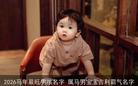 2026马年最旺男孩名字 属马男宝宝吉利霸气名字