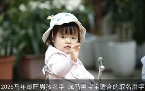 2026马年最旺男孩名字 属马男宝宝适合的取名用字