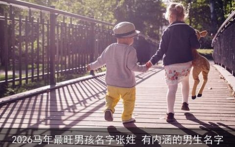 2026马年最旺男孩名字张姓 有内涵的男生名字