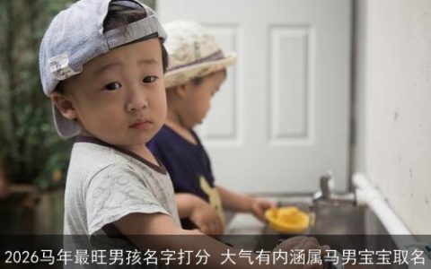 2026马年最旺男孩名字打分 大气有内涵属马男宝宝取名