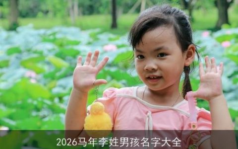 2026马年李姓男孩名字大全