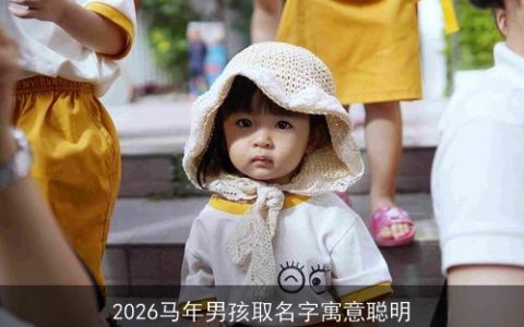2026马年男孩取名字寓意聪明
