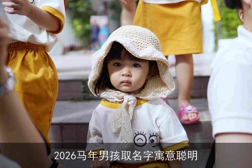 2026马年男孩取名字寓意聪明