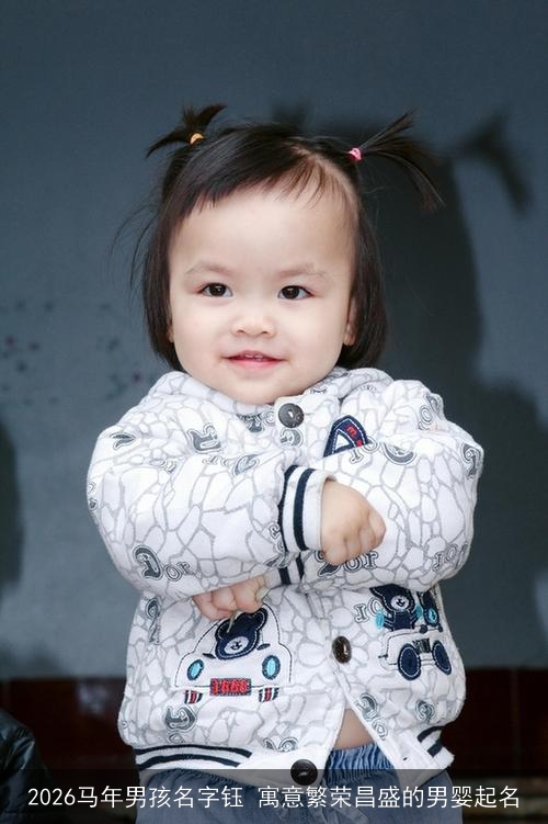 2026马年男孩名字钰 寓意繁荣昌盛的男婴起名