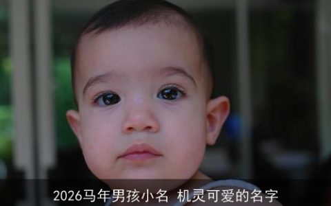 2026马年男孩小名 机灵可爱的名字