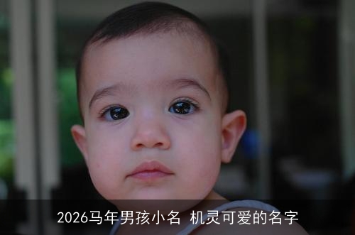 2026马年男孩小名 机灵可爱的名字