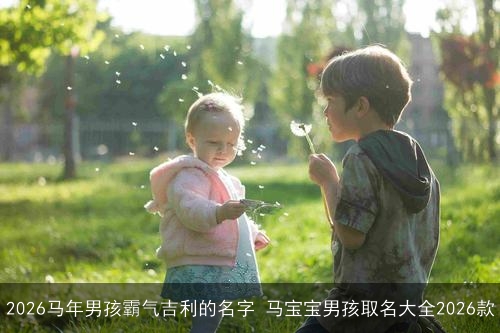 2026马年男孩霸气吉利的名字 马宝宝男孩取名大全2026款